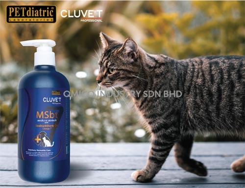 MSbt simple cat poster