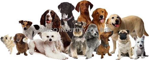 alldogs