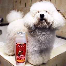 bm dog