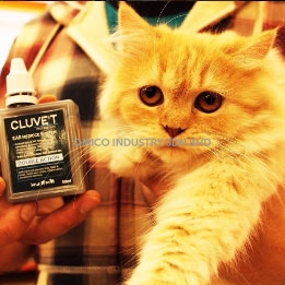 cluve cat1