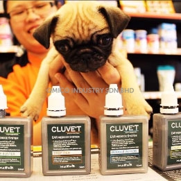 cluve dog1