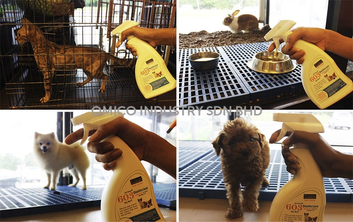 disinfectant 603 animals