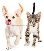 dog cat pallatability