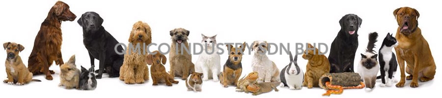 many animals