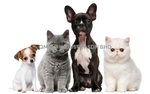 max booster pets
