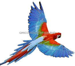 petsafe-parrot