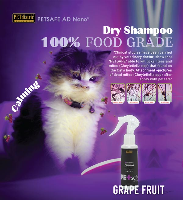 petsafe-bearie