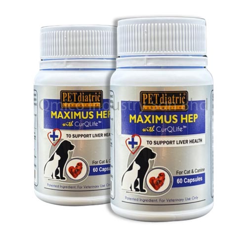 maximus hep